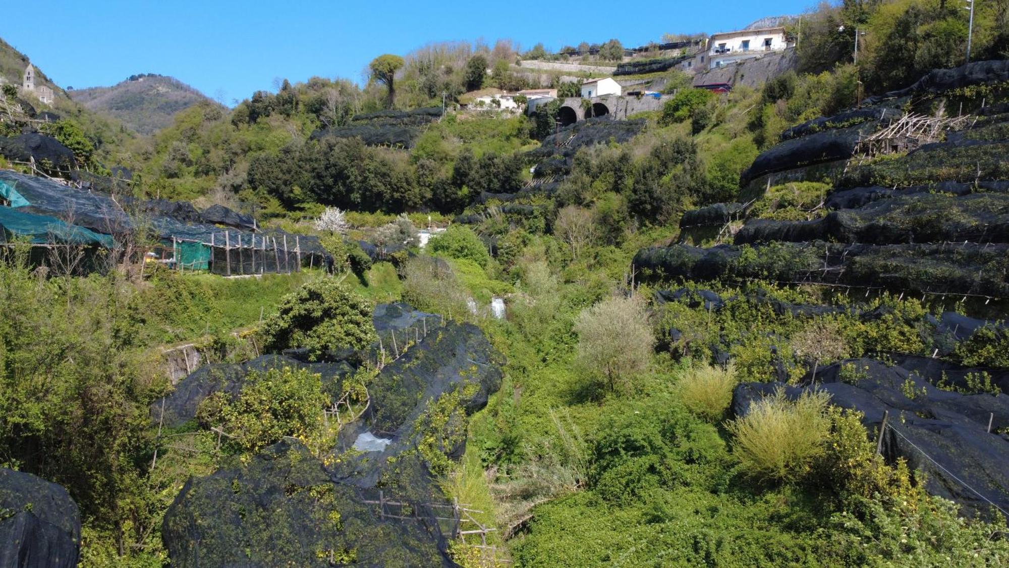 דירות טרמונטי Antica Cartiera Sant'Elia מראה חיצוני תמונה